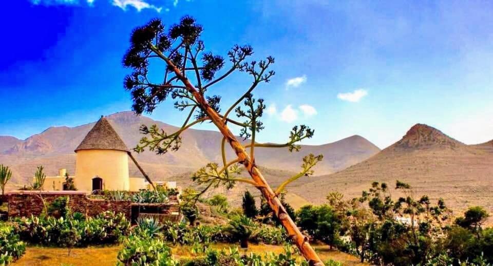 Zaratustra. Rodalquilar Centro. Gran Terra. Wifi ภายนอก รูปภาพ